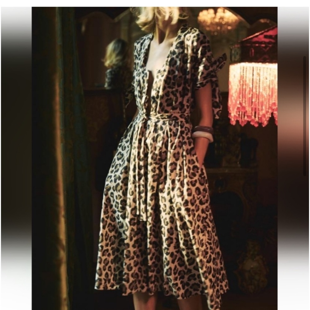 Zara Cheetah Print Cotton Dress Size Small